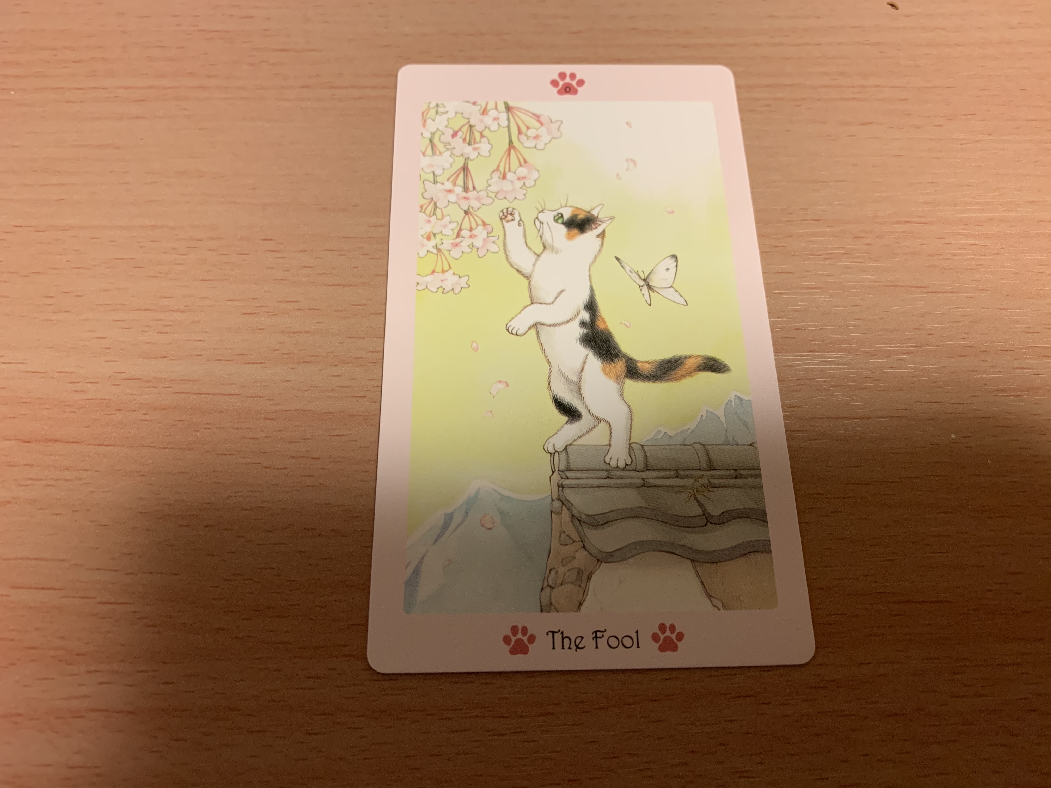 第一ネット バステットタロット Bastet tarot 猫タロット 趣味